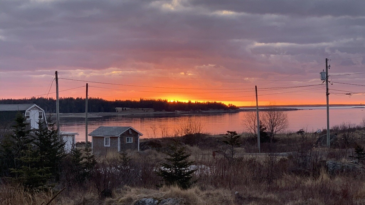 Photo of Others in Grand Manan Island