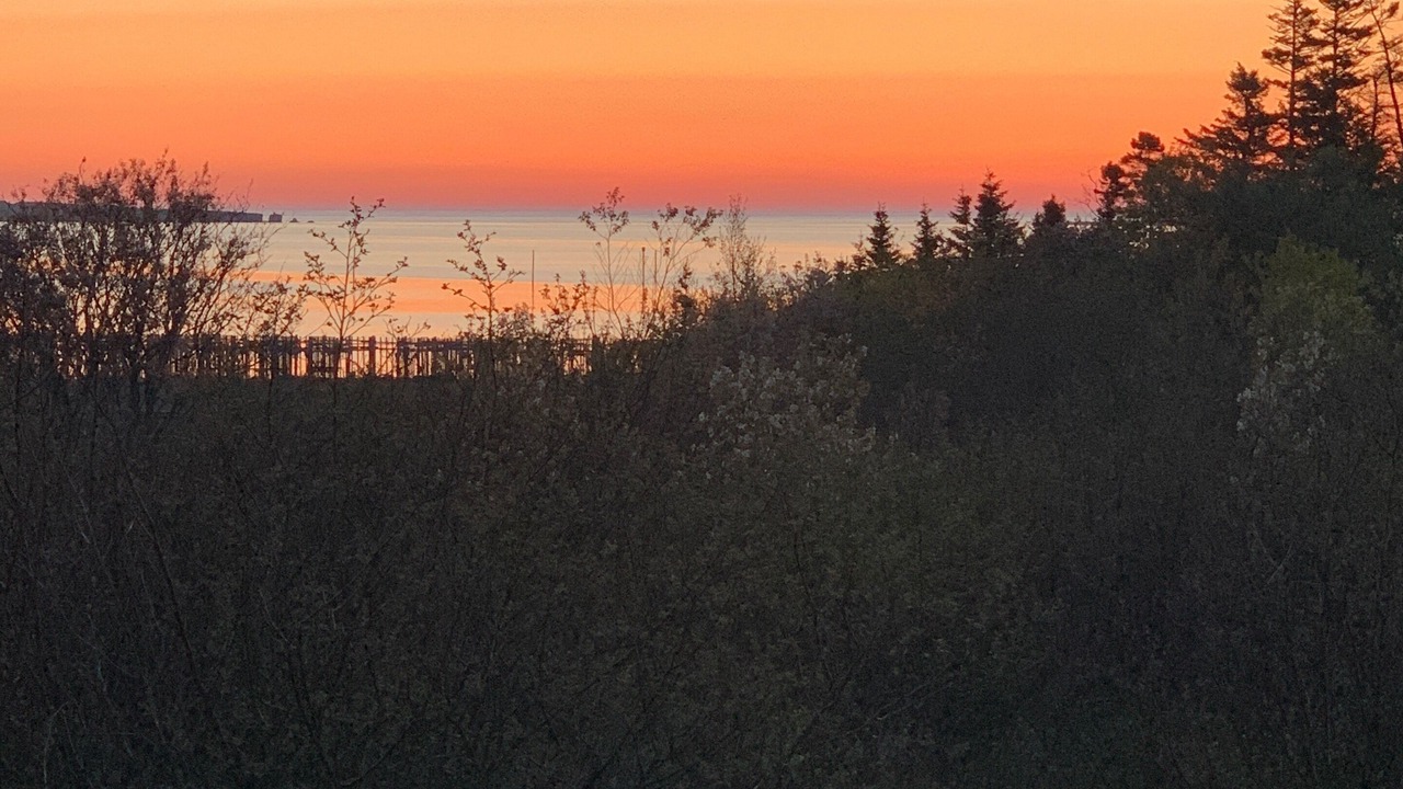 Photo of Others in Grand Manan Island