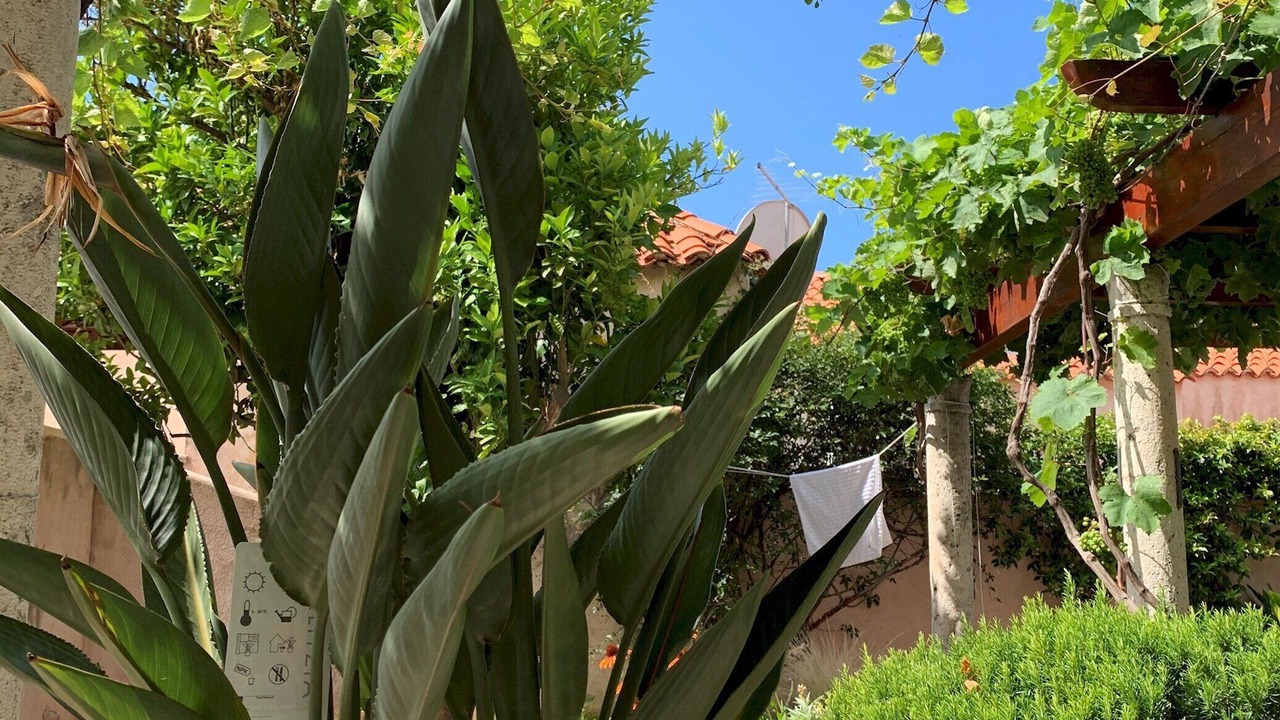 Photo of Outdoor in Pile