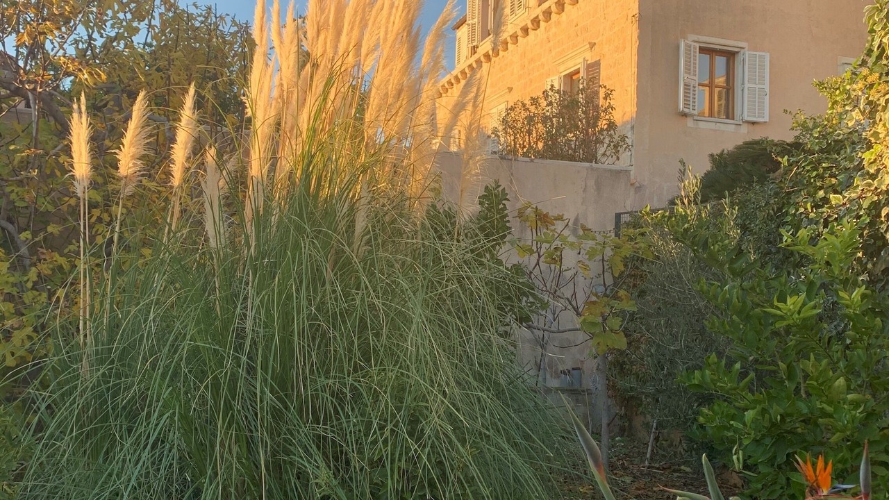 Photo of Outdoor in Pile