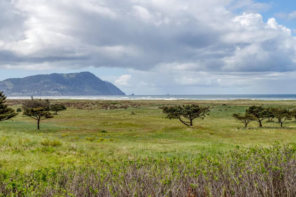Photo of Others in Gearhart