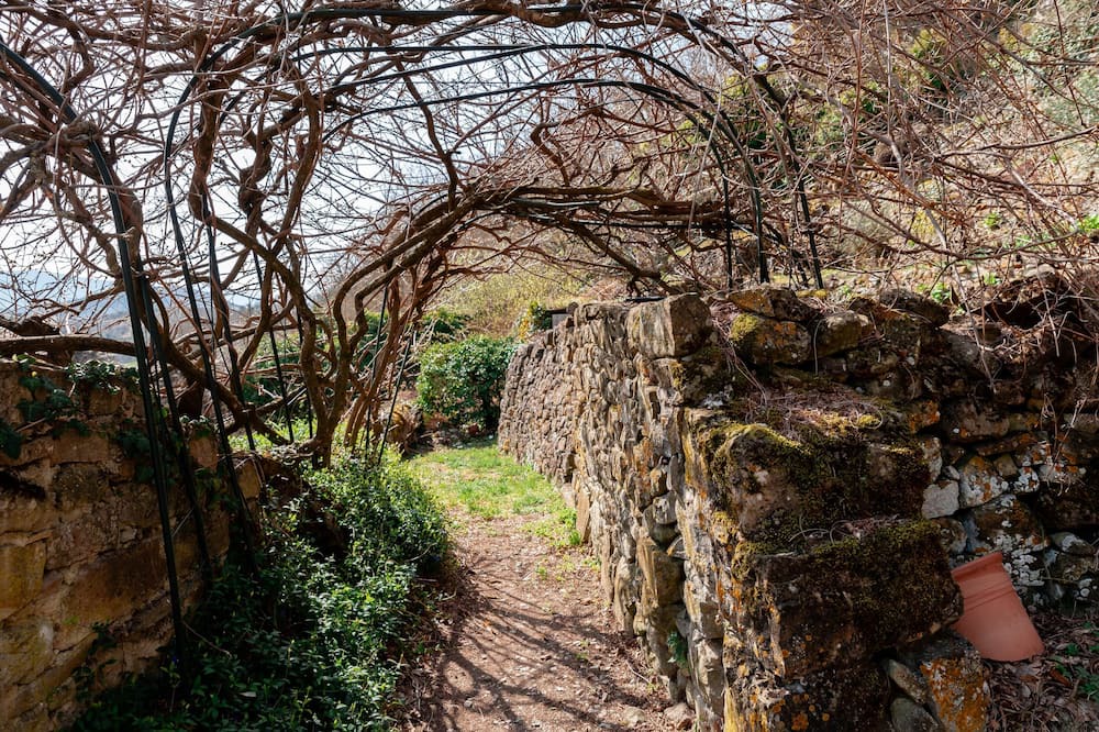 Photo of Others in Bourdeaux