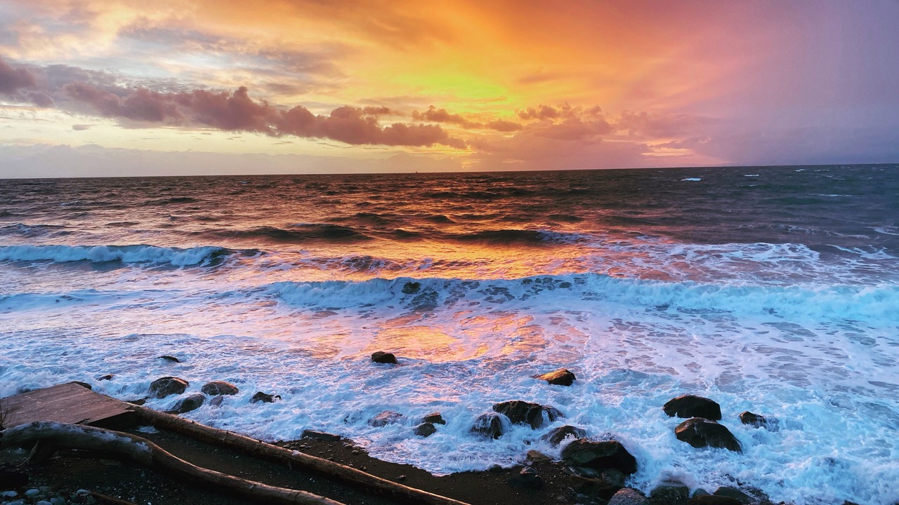 Photo of Others in Oak Harbor