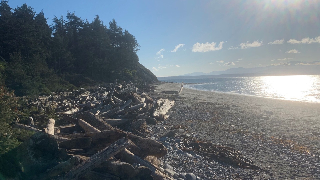 Photo of Others in Oak Harbor