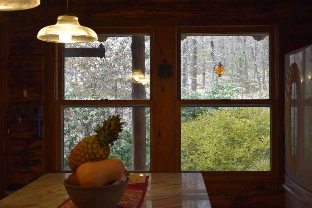 Photo of Others in Town of Bleecker