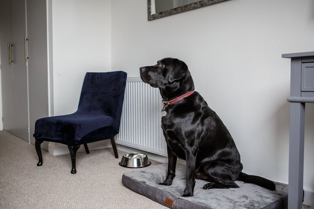 Photo of Others in Gullane