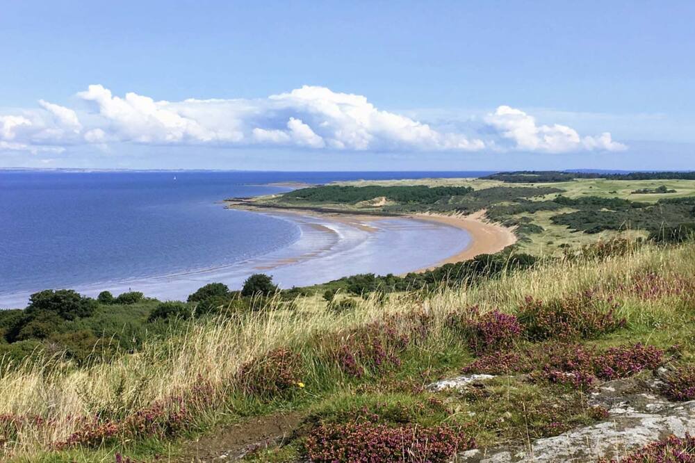 Photo of Others in Gullane