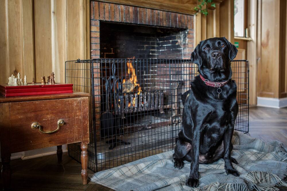 Photo of Others in Gullane