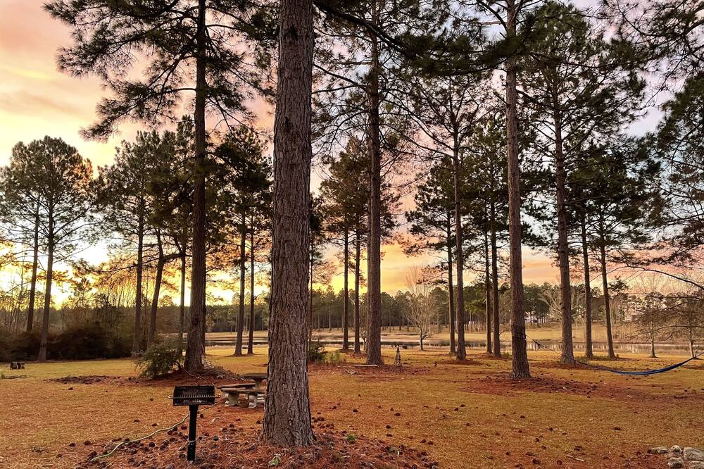 Photo of Outdoor in Poplarville