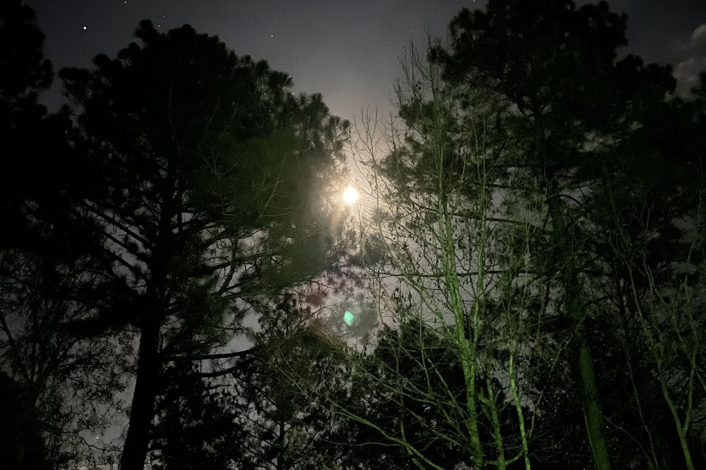 Photo of Outdoor in Poplarville