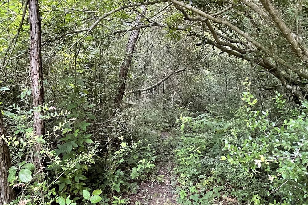 Photo of Outdoor in Poplarville