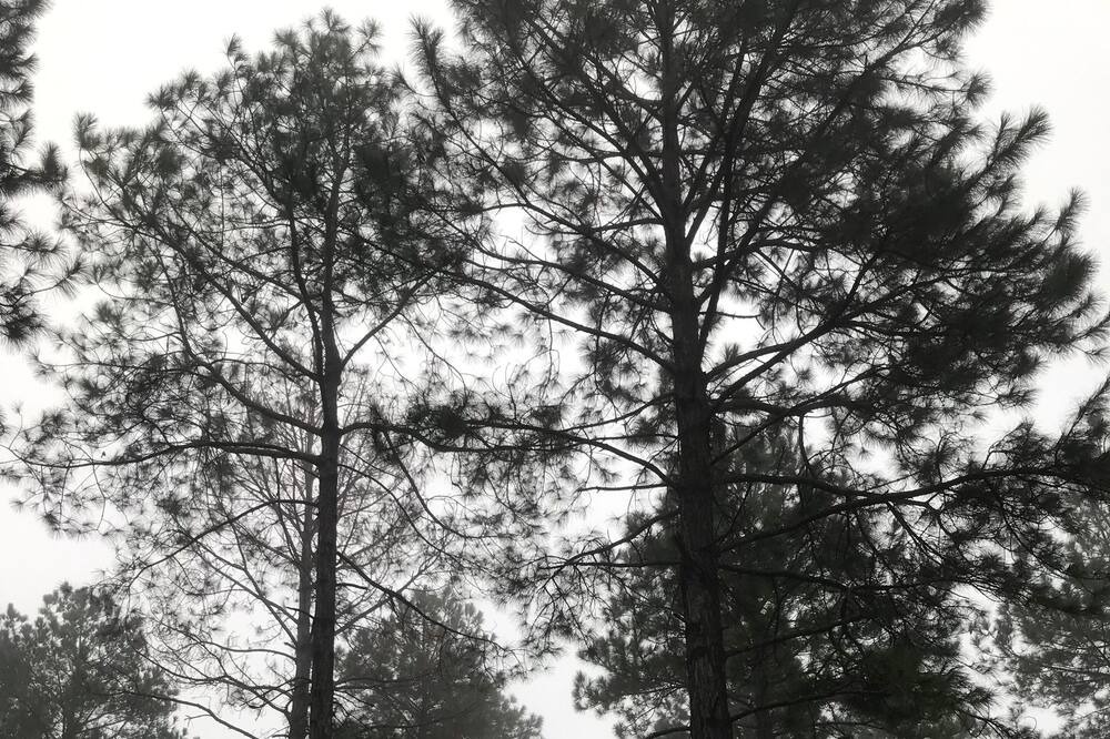 Photo of Outdoor in Poplarville