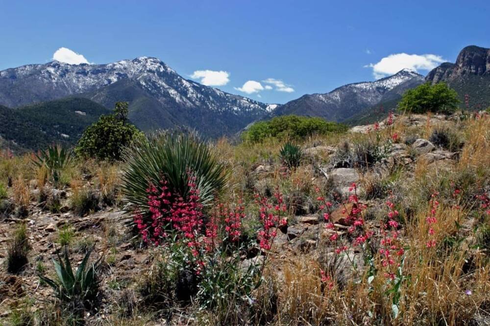 Photo of Outdoor in Sierra Vista Southeast