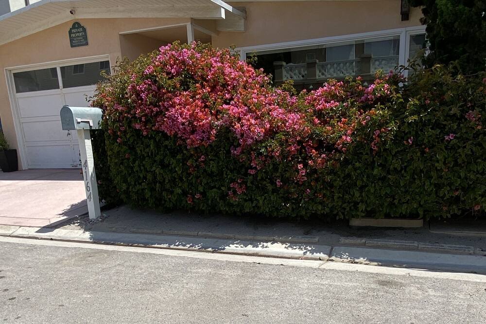 Photo of Outdoor in Hollywood Beach