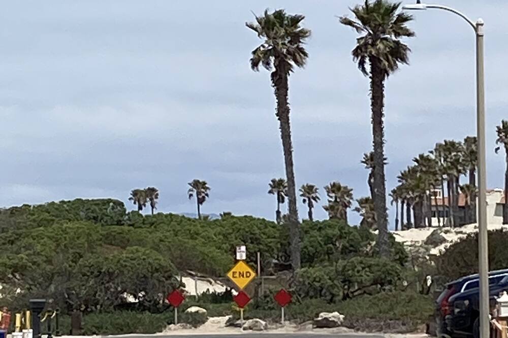 Photo of Others in Hollywood Beach