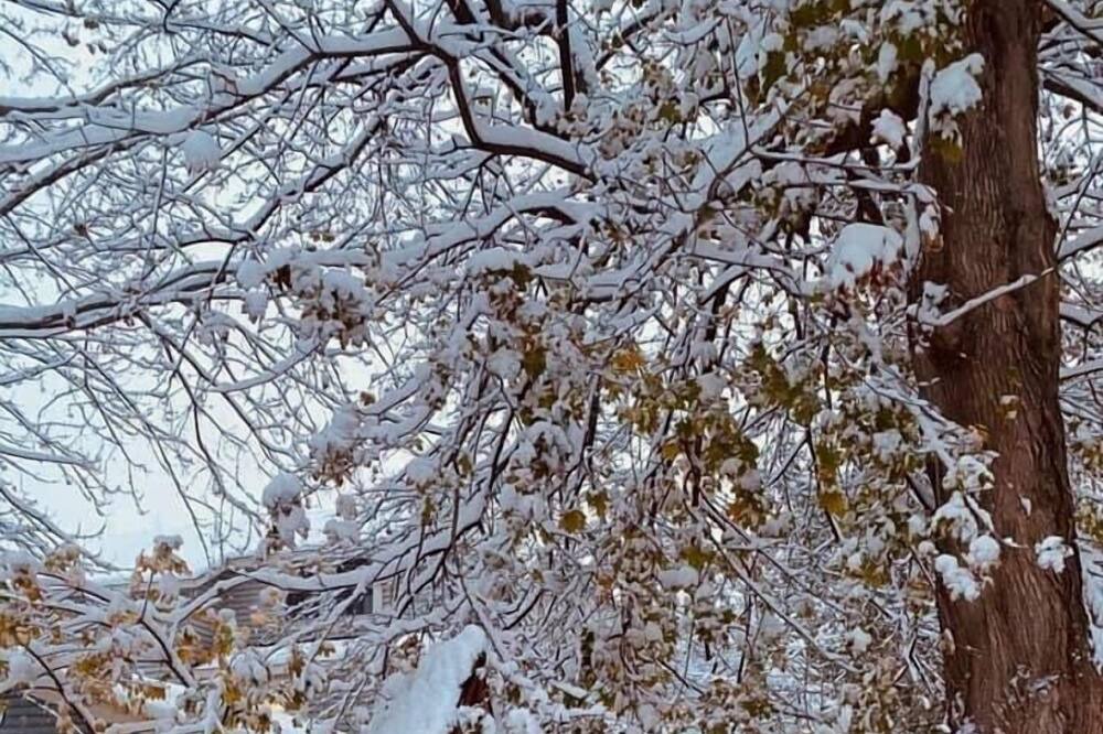 Photo of Others in Afton