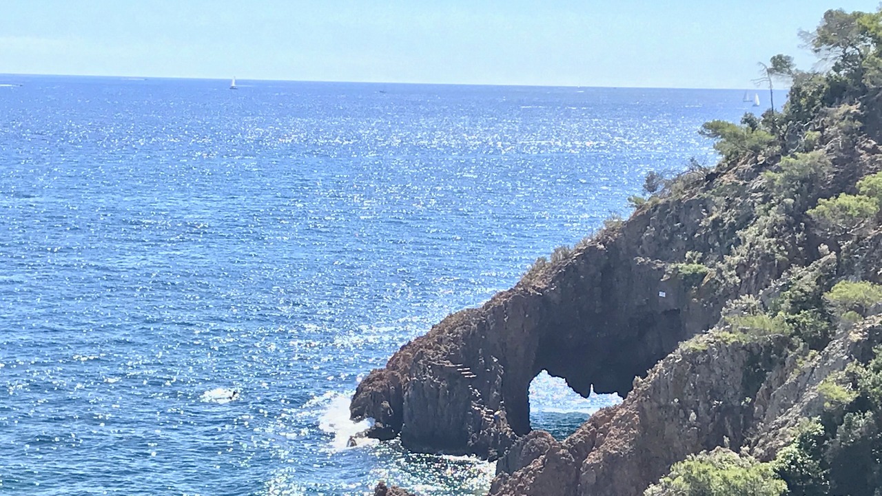 Photo of Others in Mouans-Sartoux