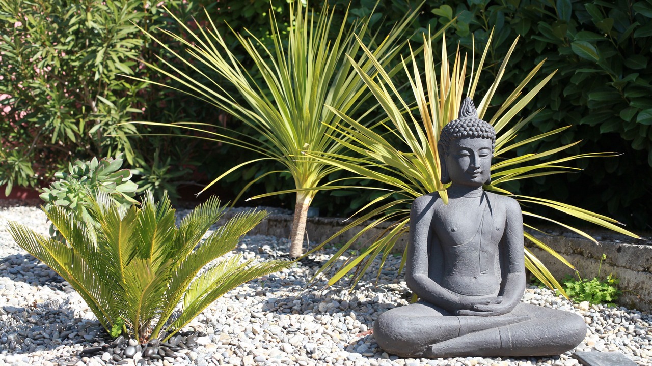 Photo of Outdoor in Mouans-Sartoux