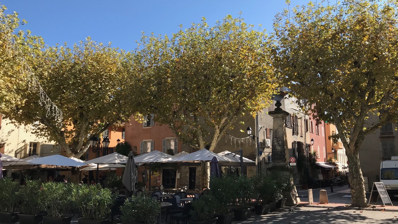 Photo of Others in Mouans-Sartoux