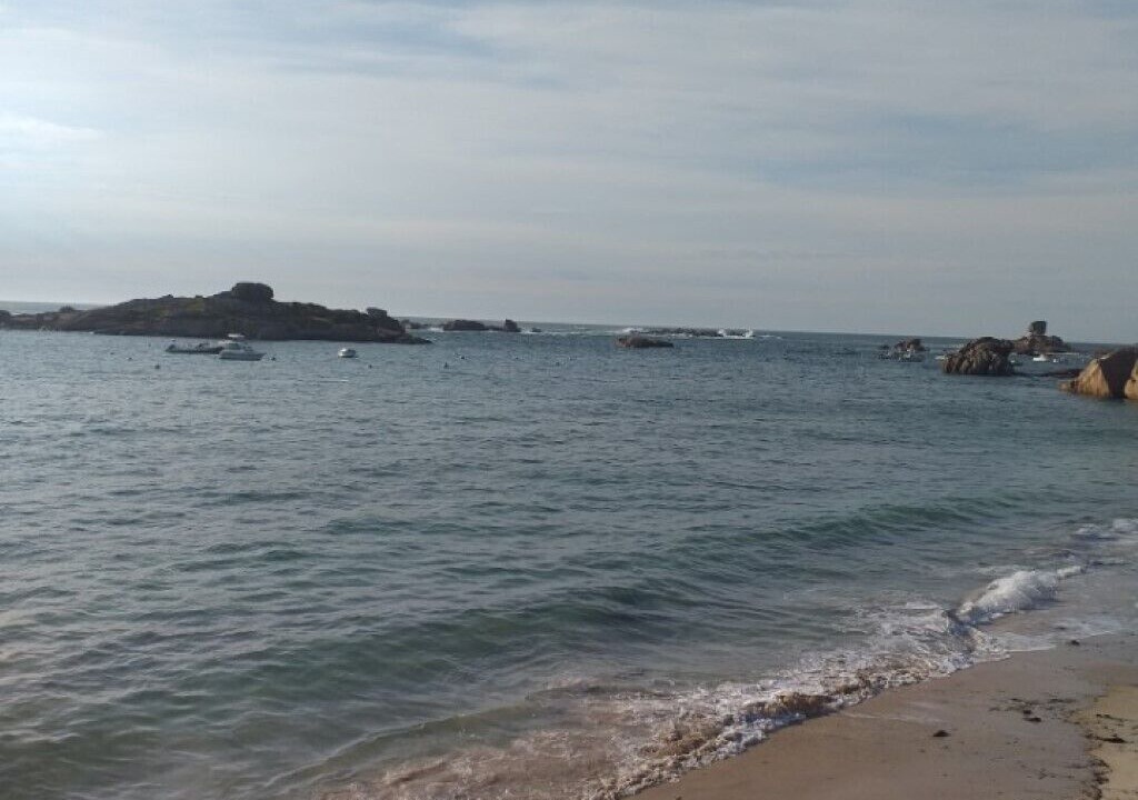 Photo of Others in Tregastel