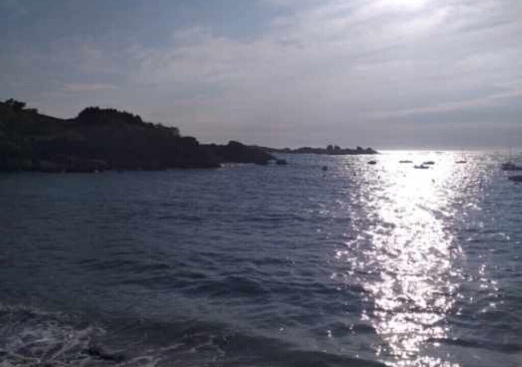 Photo of Others in Tregastel