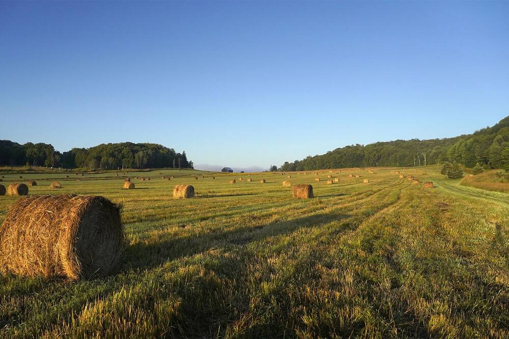 Photo of Outdoor in Utterson
