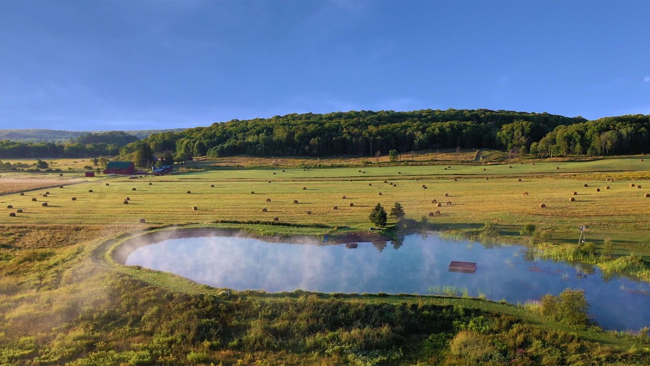 Photo of Others in Utterson