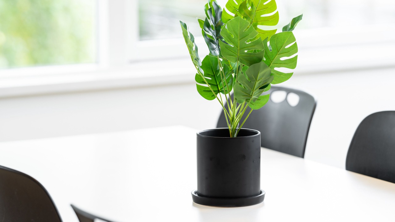 Photo of Others in Trustrup