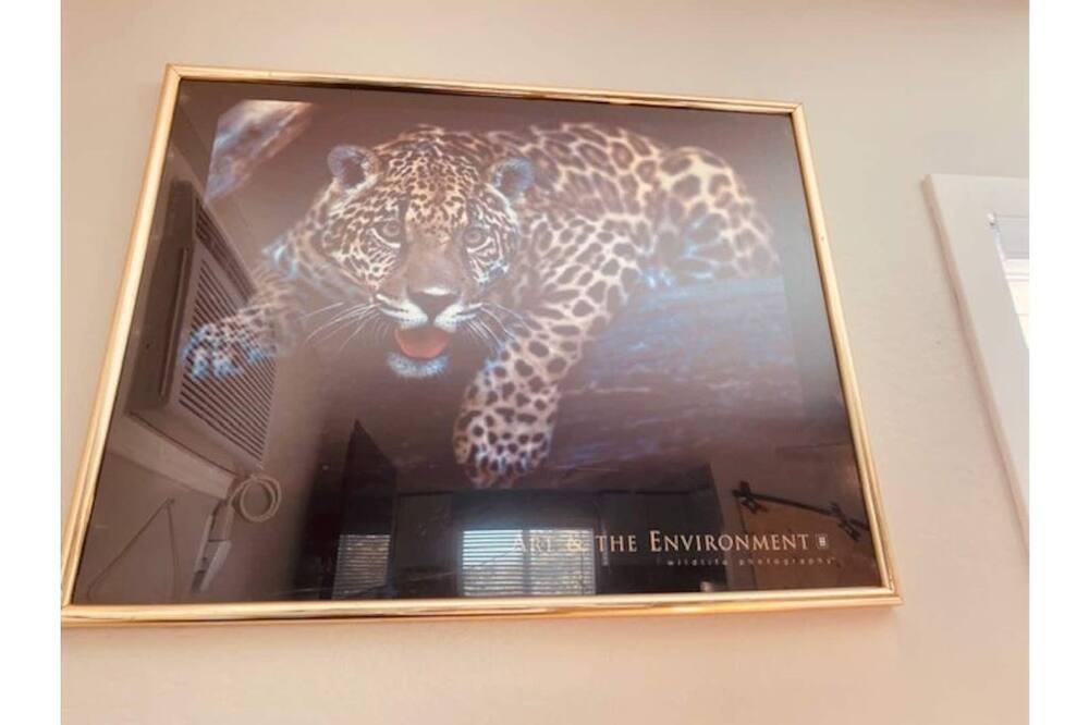 Photo of Bedroom in Orangevale