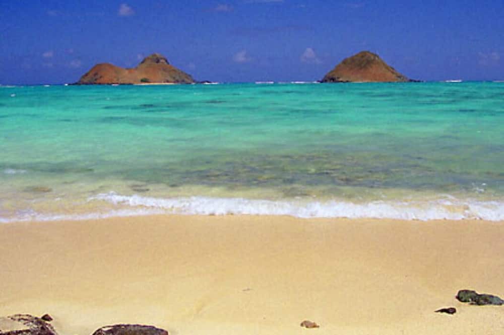 Photo of Others in Coconut Grove