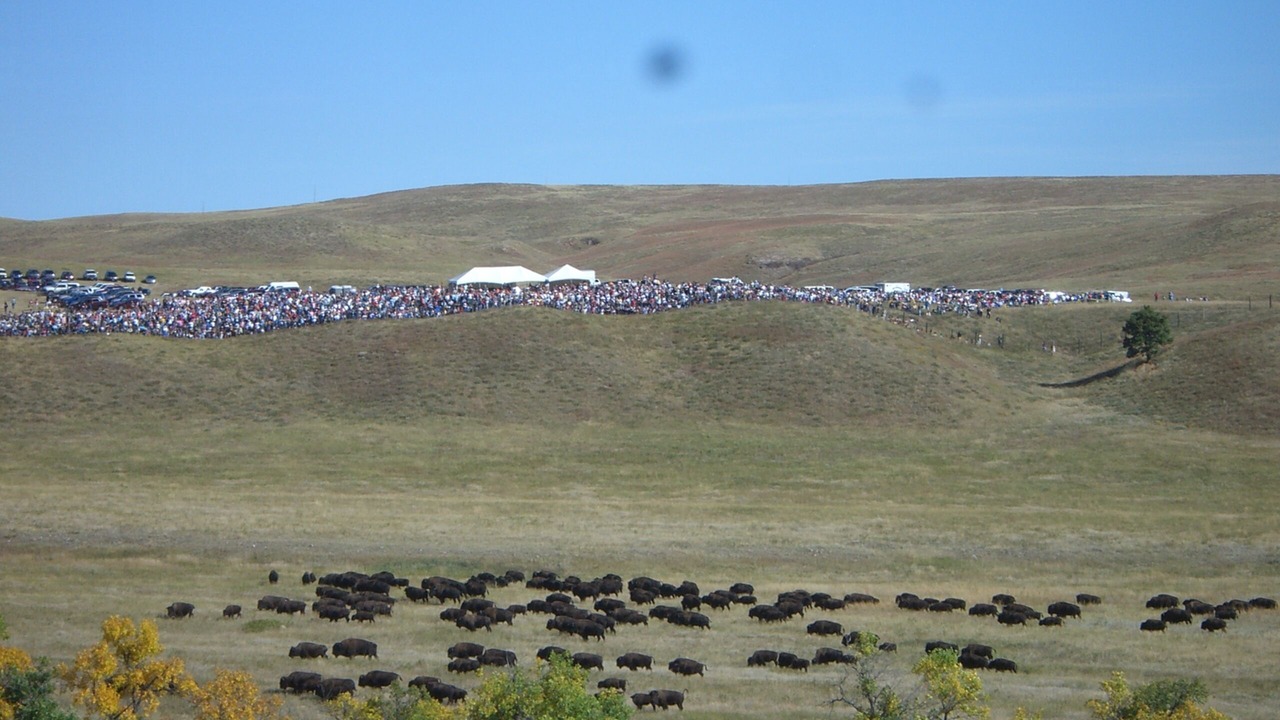 Photo of Others in Moorcroft