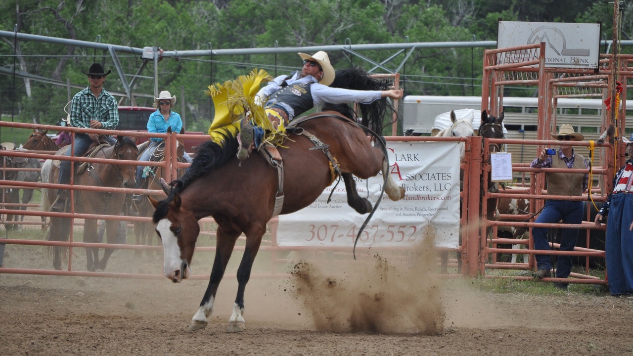 Photo of Others in Moorcroft