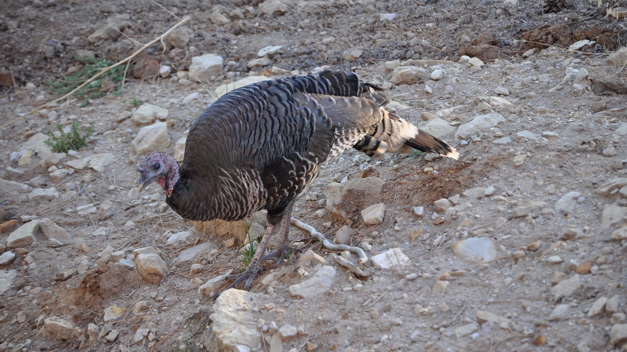 Photo of Outdoor in Moorcroft