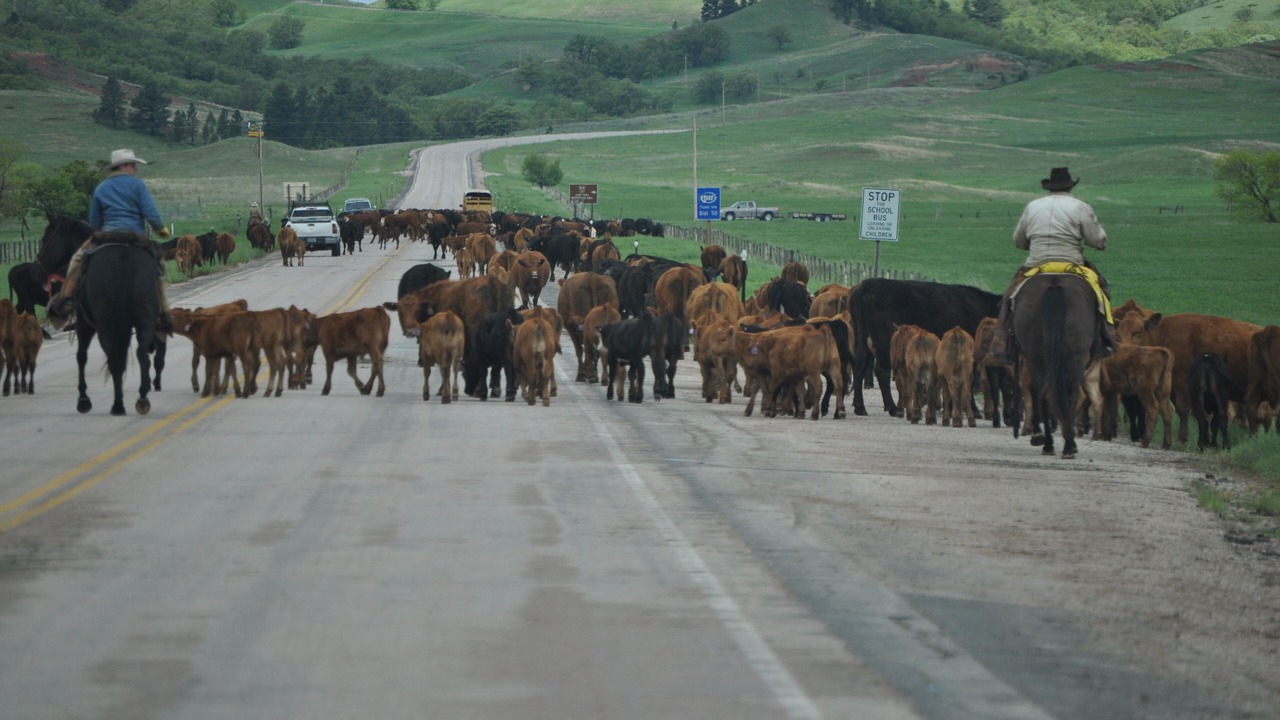 Photo of Others in Moorcroft