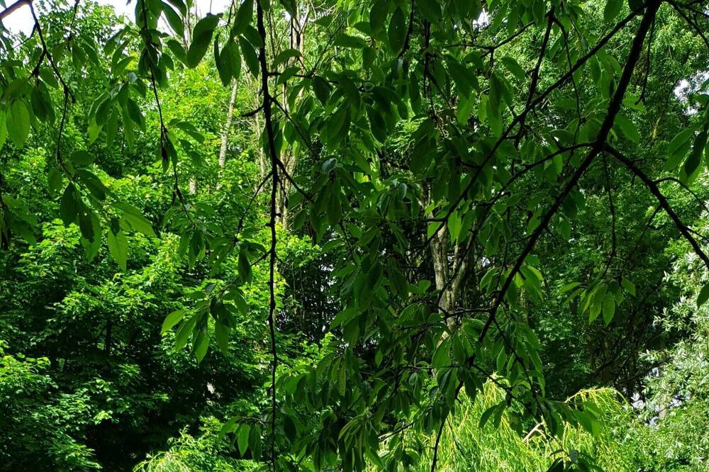 Photo of Outdoor in Crecy-en-Ponthieu