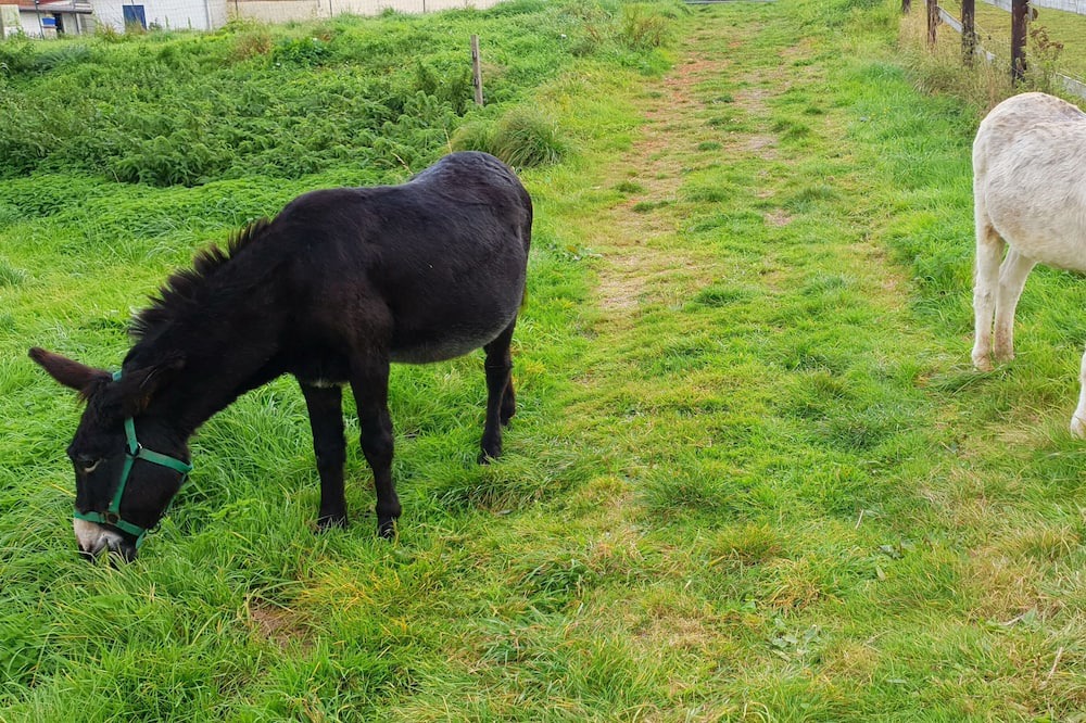 Photo of Others in Crecy-en-Ponthieu