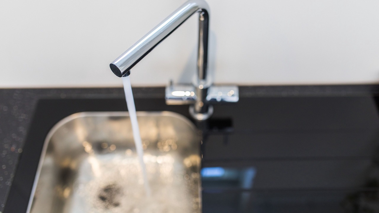 Photo of Others in Little Holland