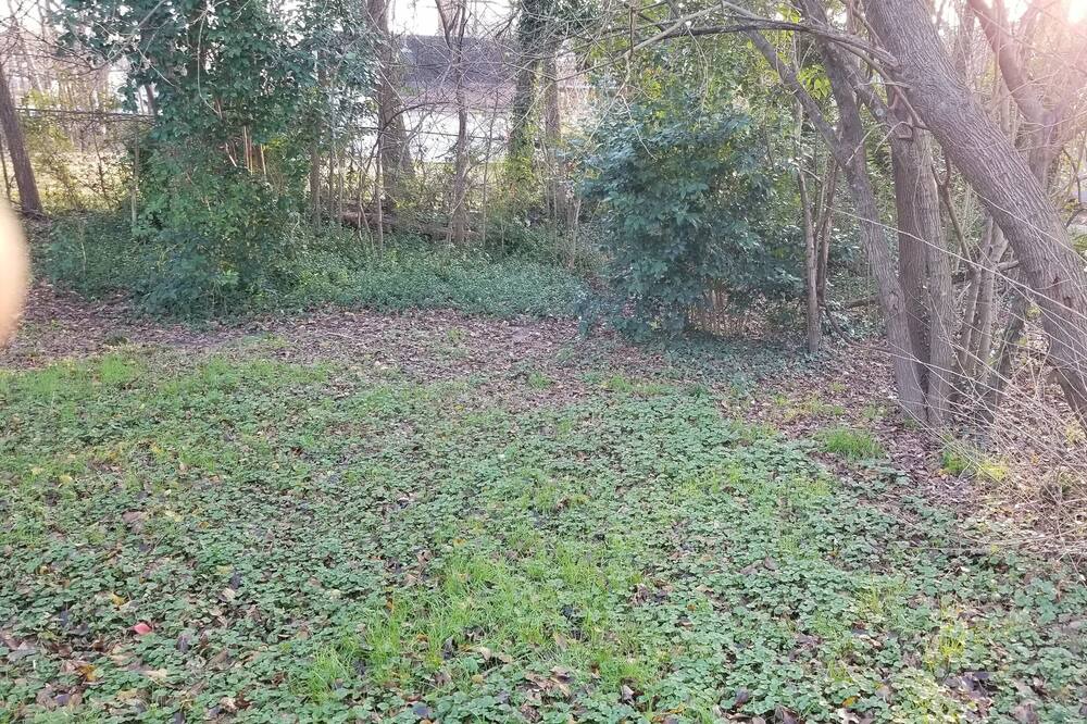 Photo of Outdoor in East Durham