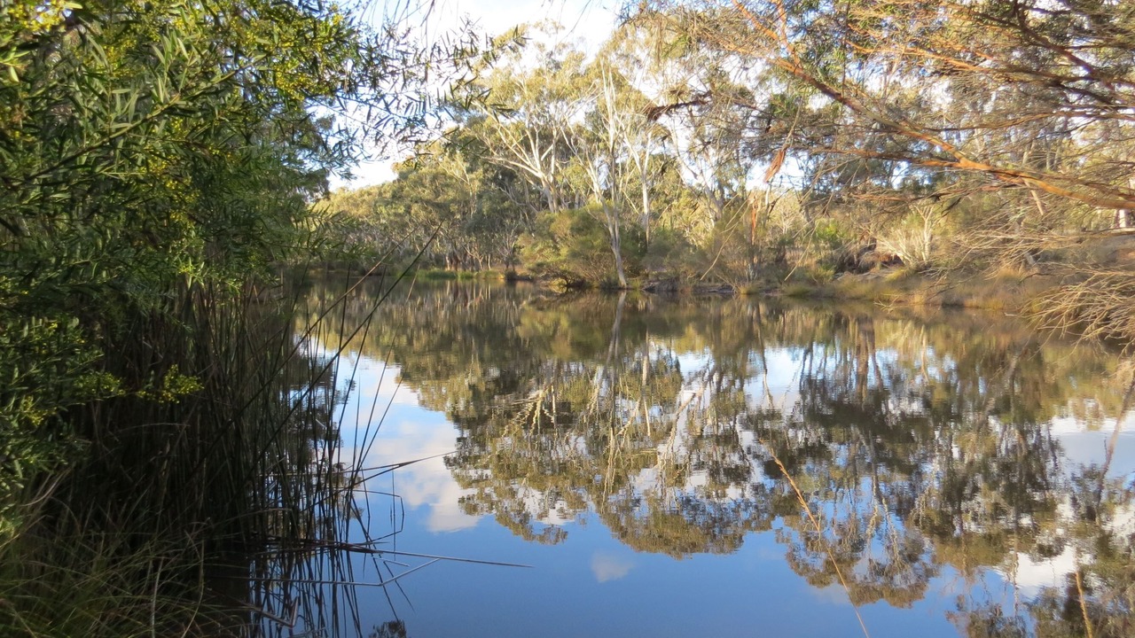 Photo of Outdoor in Cannon Creek