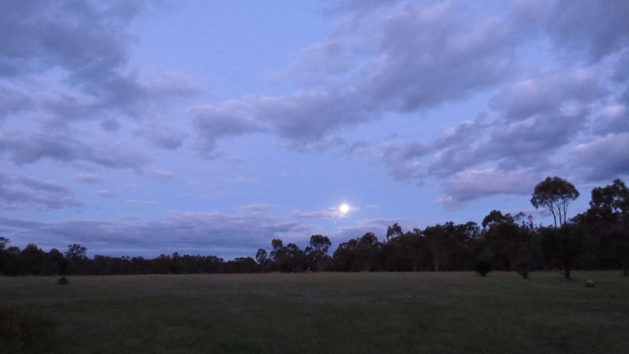 Photo of Others in Cannon Creek