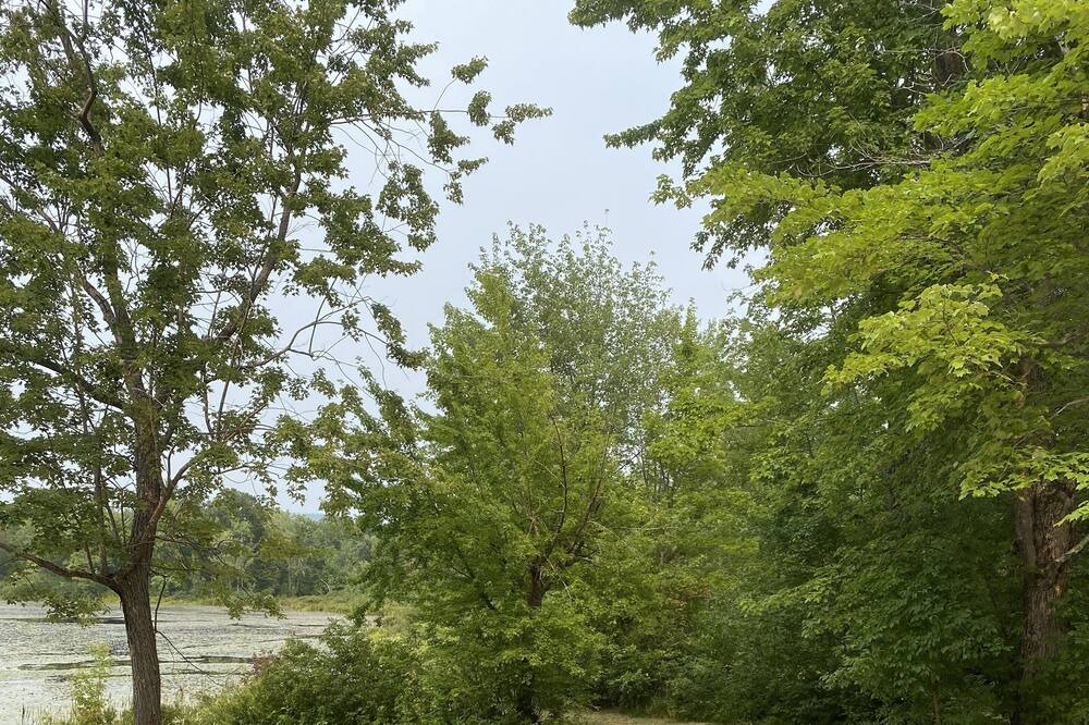 Photo of Others in L'Isle-aux-Allumettes