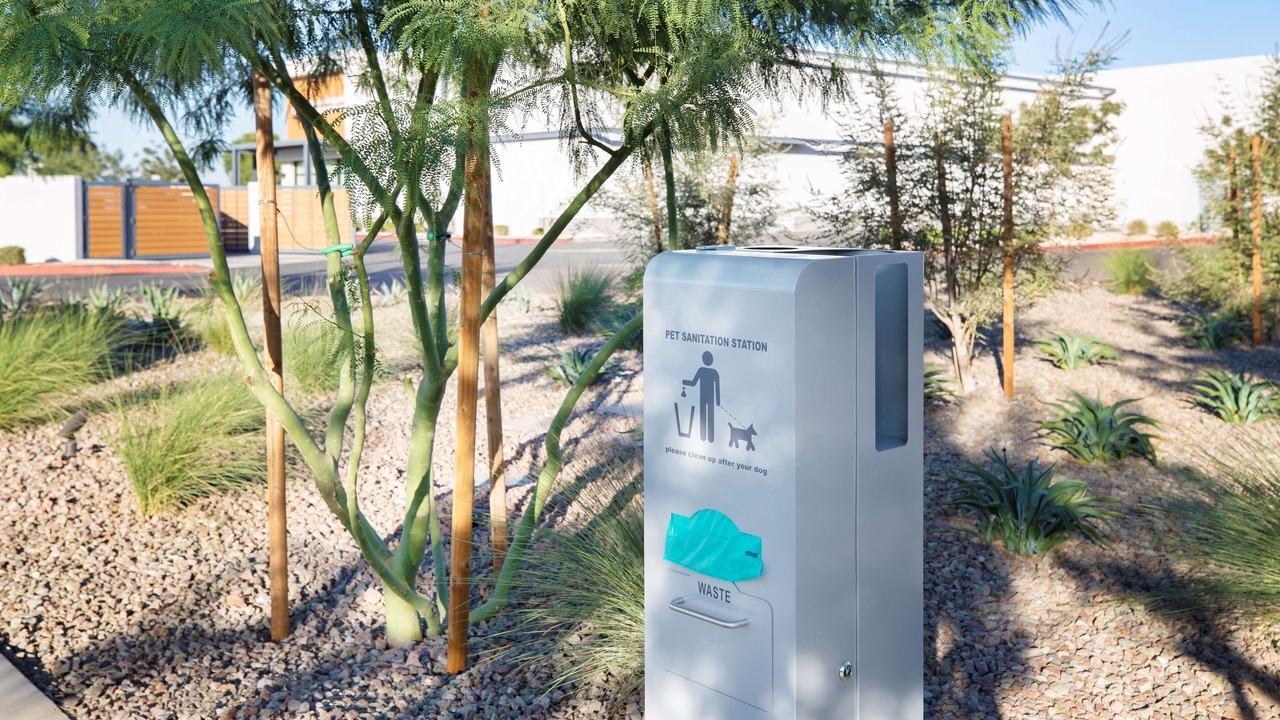 Photo of Outdoor in Avondale