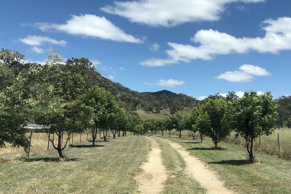 Photo of Outdoor in Mount Knowles