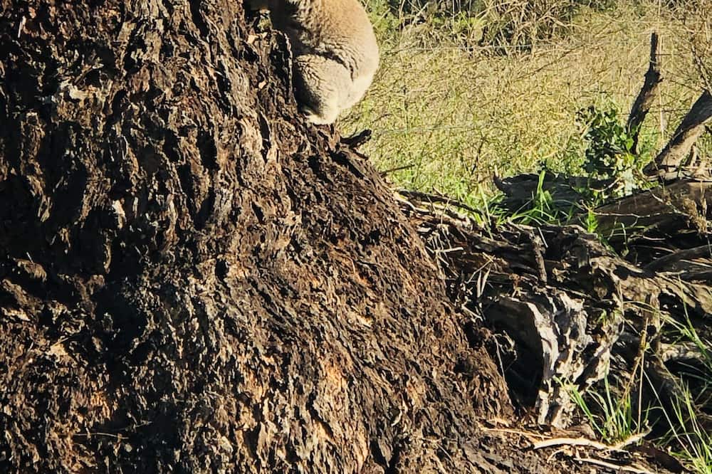 Photo of Outdoor in Mount Knowles