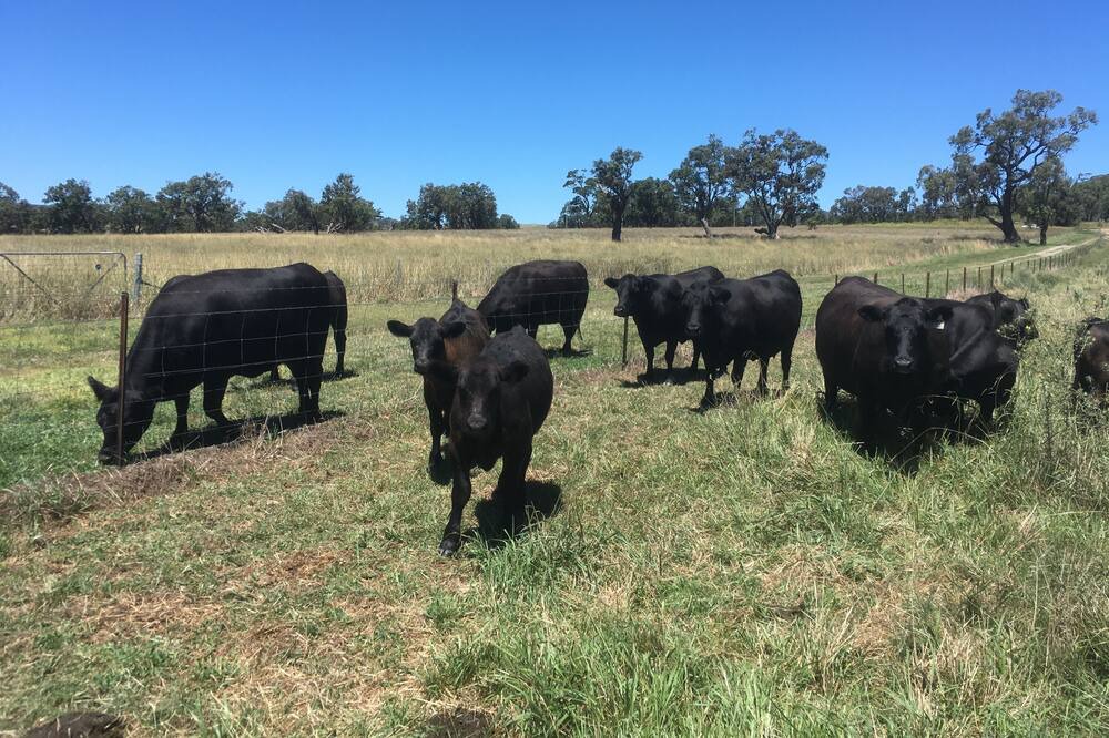 Photo of Outdoor in Mount Knowles