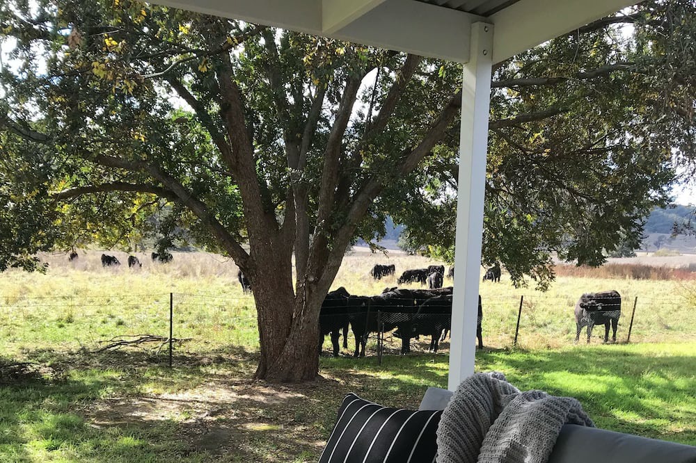 Photo of Patio Balcony in Mount Knowles