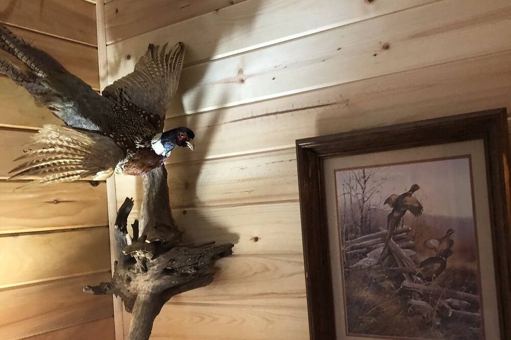 Photo of Bedroom in Hardy