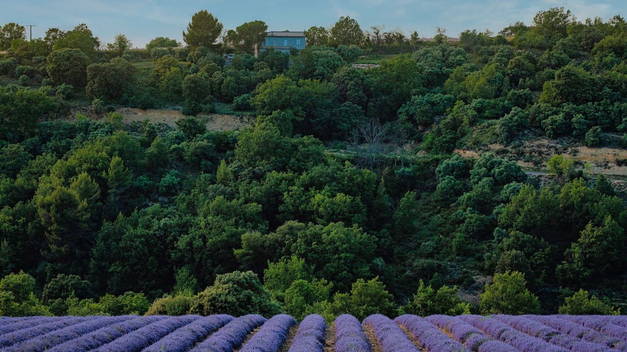 Photo of Outdoor in Niozelles