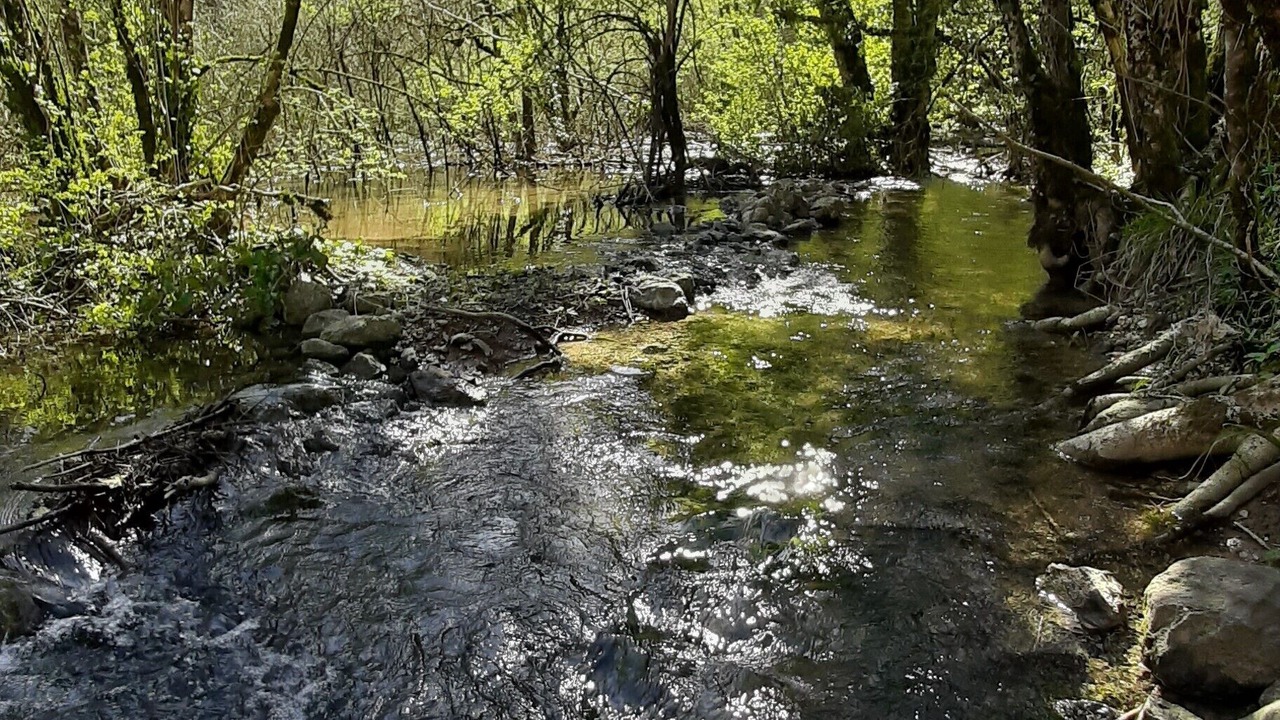Photo of Outdoor in Virieu-le-Grand