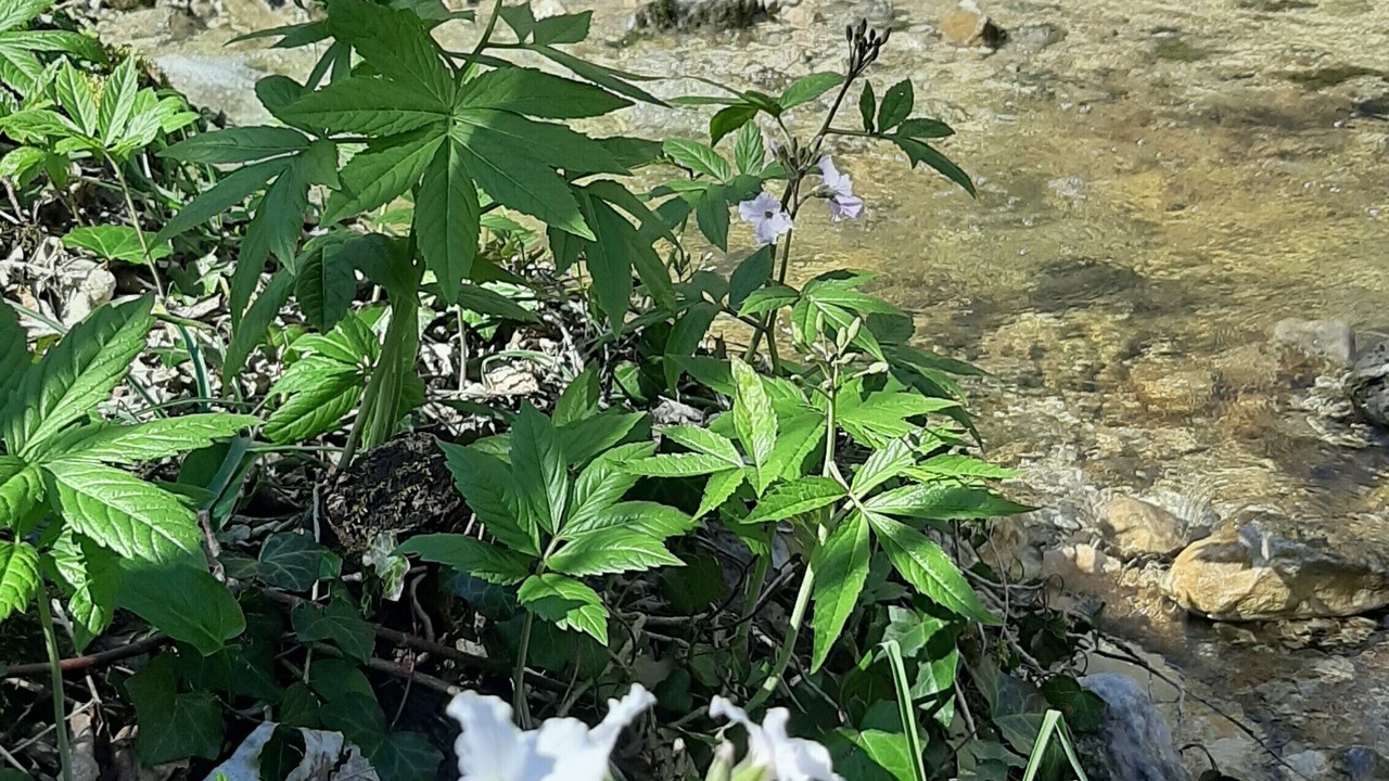 Photo of Outdoor in Virieu-le-Grand